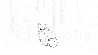 cat animation test