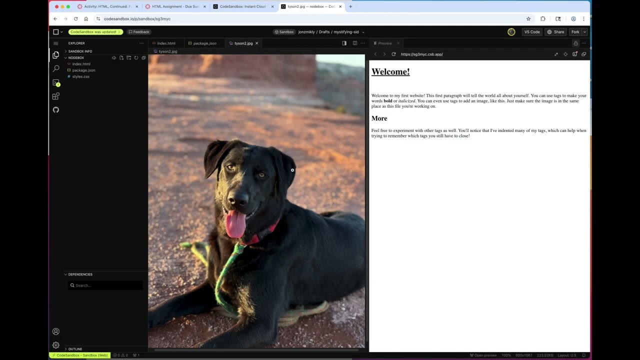Adding Images & Links to HTML Page in CodeSandbox.io - YouTube