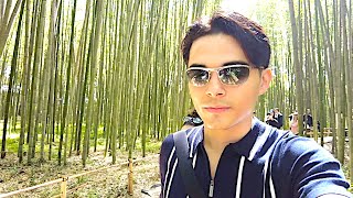 exploring Japans most ancient BAMBOO forest
