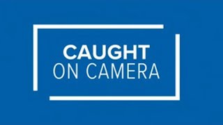 Caught on camera: Bear crashes Gatlinburg parade
