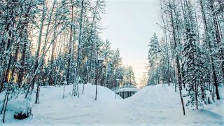 В Нягани готовятся открыть «Центральный лес культуры и отдыха»