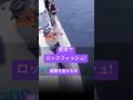 愛媛県🐟釣りの聖地の宿【肴の御宿びやびや】誕生 シマノ丹羽氏アテンドの贅沢✨お祝いに江戸暖簾を贈る #釣り #のれん　#釣り人の聖地　#shorts #古民家宿 #愛媛グルメ #アジング #PR