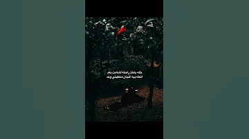 خله ياخذ راحتة لشامت بعد اقتباسات حزينة اقتباسات شعر شعبي عراقي عبارات لايك اشتراك 