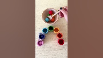 Satisfying color sorting ASMR! #satisfying #colorful #colorsorting #colors