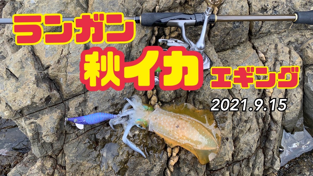 秋イカ ランガンエギング Youtube