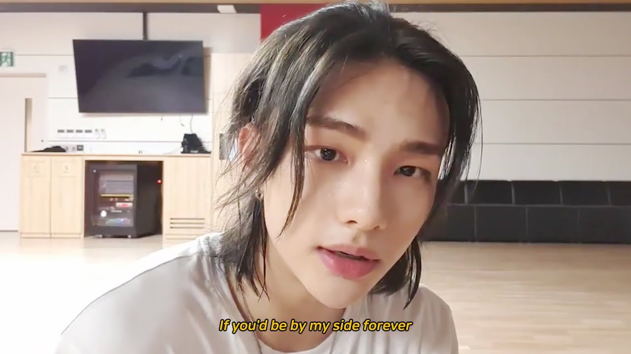 [스트레이 키즈 현진] 그냥 얼굴이 재밌는 영상 2 / Hyunjin FMV