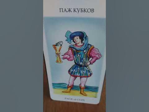 Паж кубков и 2 мечей. Паж чаш внешность. паж кубков да или нет. паж кубков на латыни.