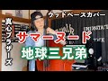 サマーヌード / 地球三兄弟(奥田民生+真心ブラザーズ)【ウッドベースカバー】