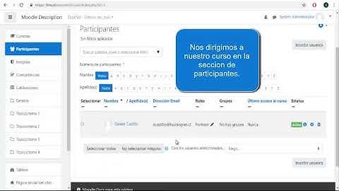 Eliminar Profesor Moodle - Hostingnet