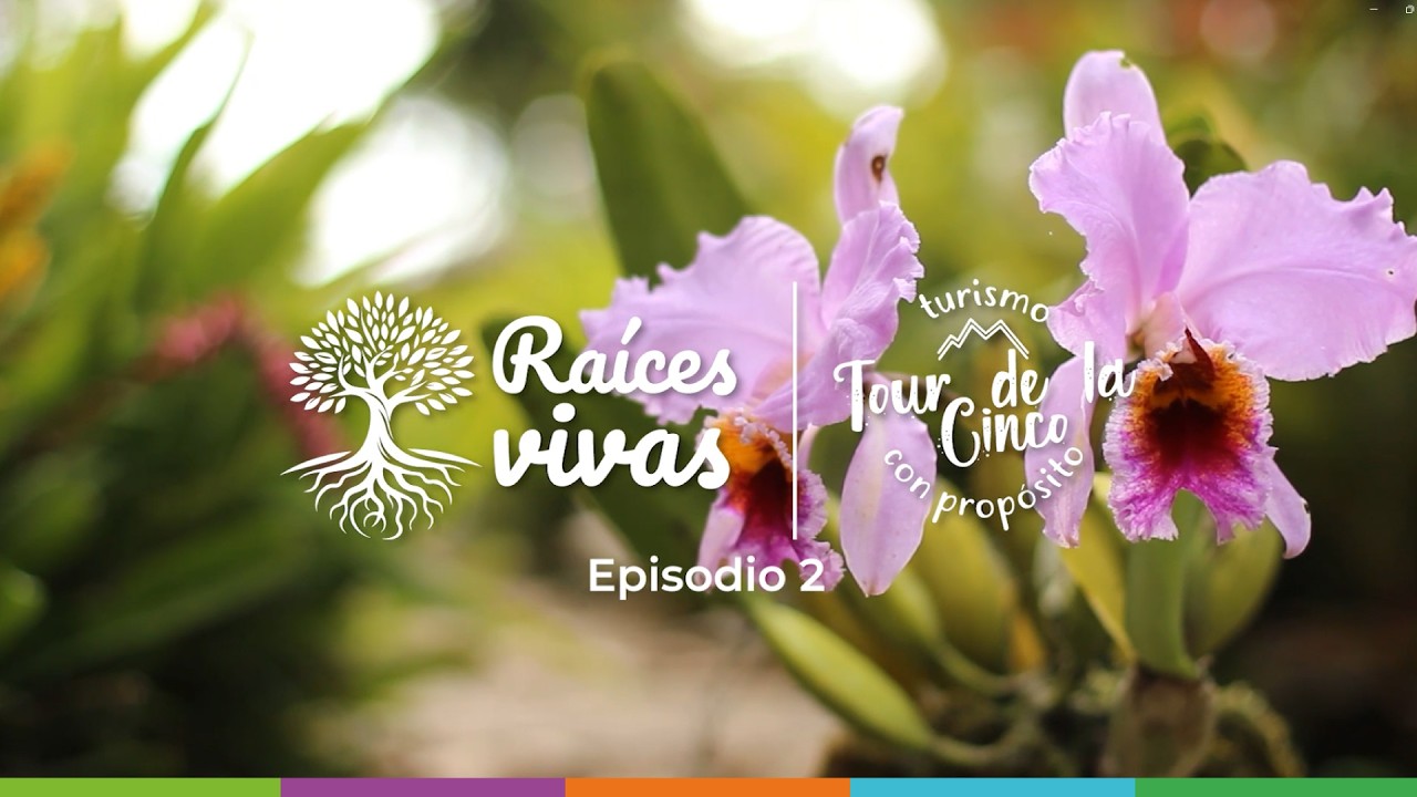 Raices vivas Ep. 2 Tour de la 5