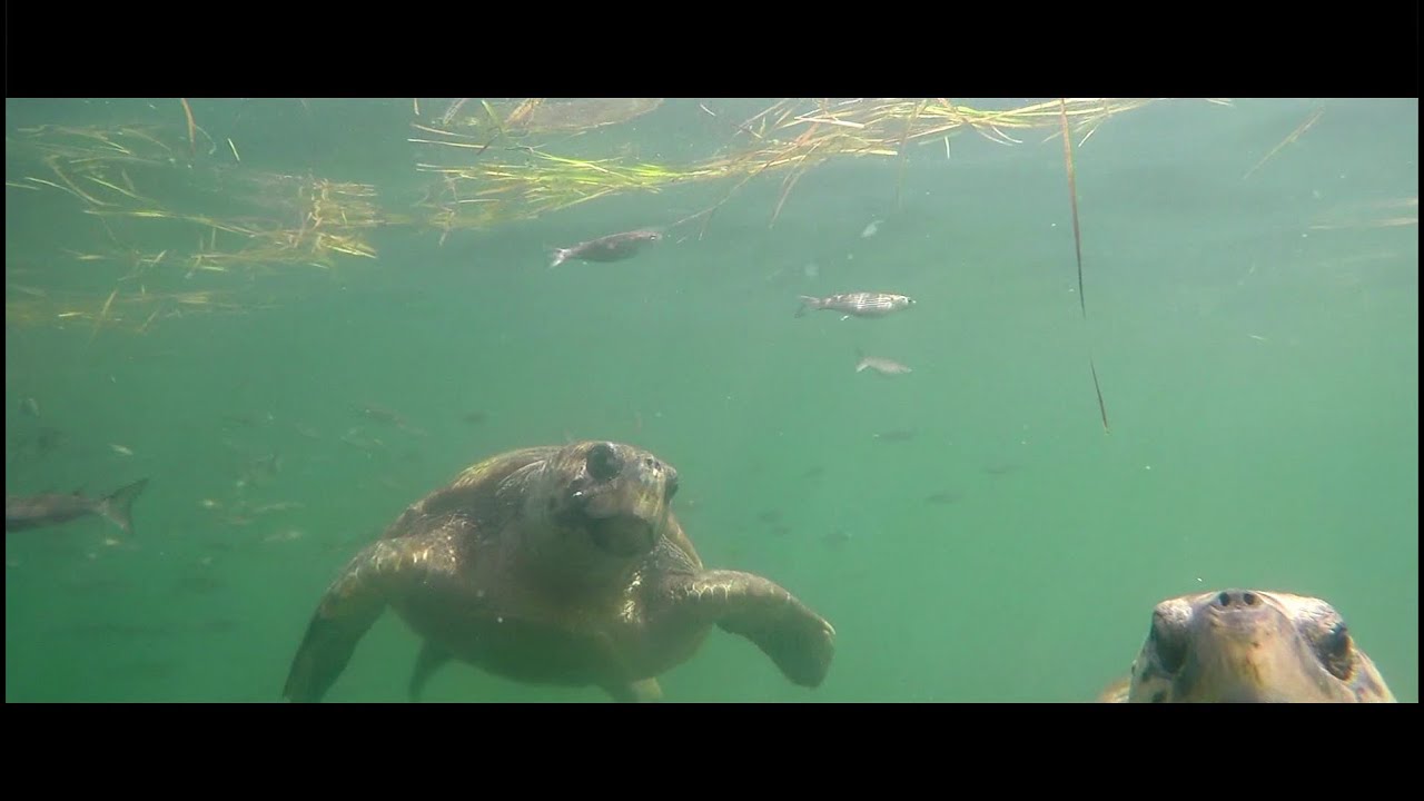 Kefalonia 2016 GoPro Hero 4 Silver