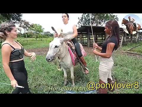 Three princess on pony