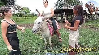 Three princess on pony