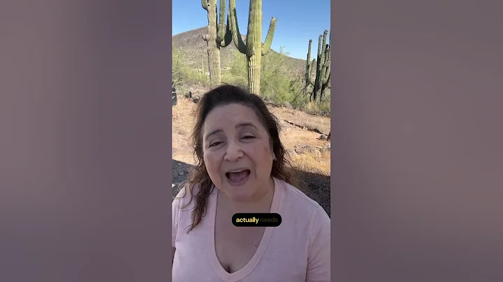 Struggling to agree with your co-parent? Here are 4 ways to protect your child. #coparenting