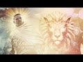 Anduin theme the war within holy lion remix