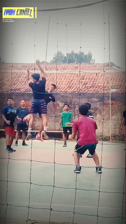 Story WA Volley ball 30 detik || No copyright
