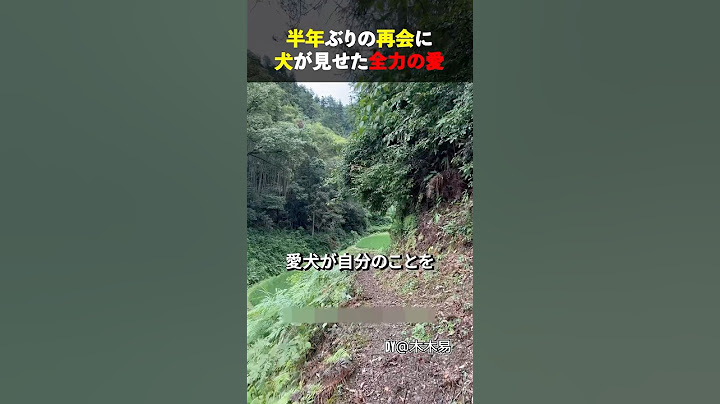 半年ぶりの再会に犬が見せた全力の愛