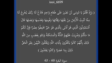 سورة البقرة 60 - 65🫀🎧