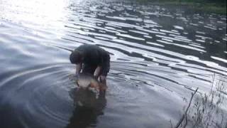 Carphunters1 On Borovik July 2009 Video1