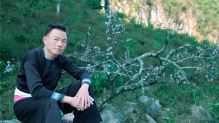 Nco Lub Neej Toj Siab By Vong Media