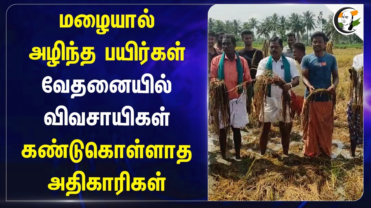 மழையால் அழிந்த பயிர்கள்! வேதனையில் Farmers.. கண்டுகொள்ளாத அதிகாரிகள் | Thanjavur