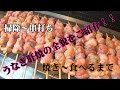 【うなぎの肝焼きの全貌をご紹介!!】掃除~串打ち、そして焼き~食べるところまですべてをお見せします。