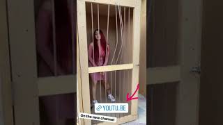 Lanarose Escaping from Jail Details