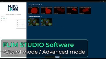 Introducing the sinergy between FLIM STUDIO and ABBERIOR STEDYCON  - FLIM LABS