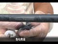 Quik Pipe wrap (クイックパイプラップ)配管補修