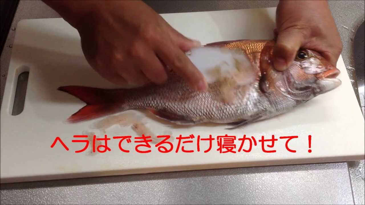 なかでも優れたウロコとり 魚のウロコの取り方 ２ 真鯛編 Youtube