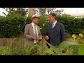 Rhs chelsea flower show 2024  episode 3