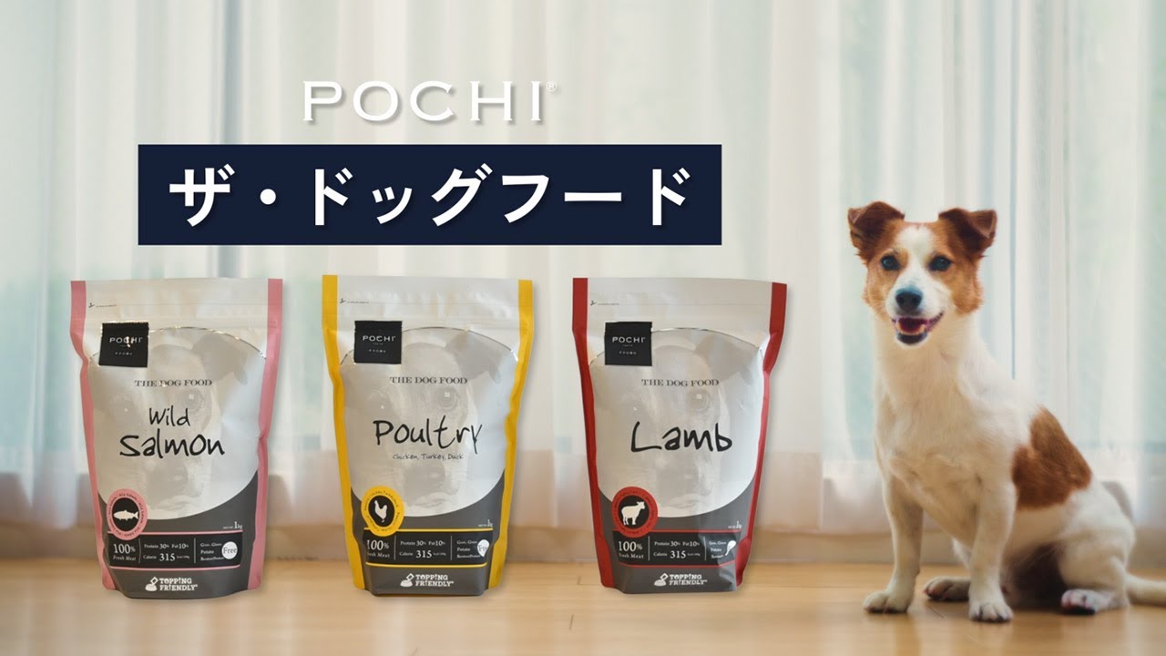 POCHI ザ・ドッグフード ドッグフードの定番 ロングバージョン ポチの