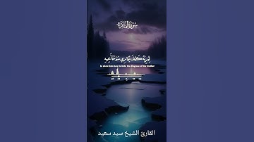 سورة المائدة الآية الكريمة ٣١ بصوت الشيخ سيد سعيد