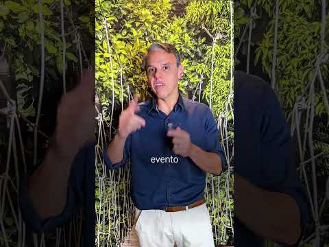 Tabagismo e impotência: existe relação?