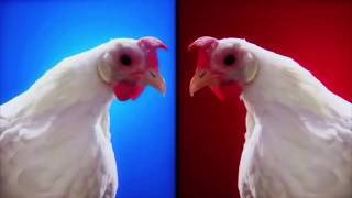 Video thumbnail of "Techno Chicken Song Lengthened Version"