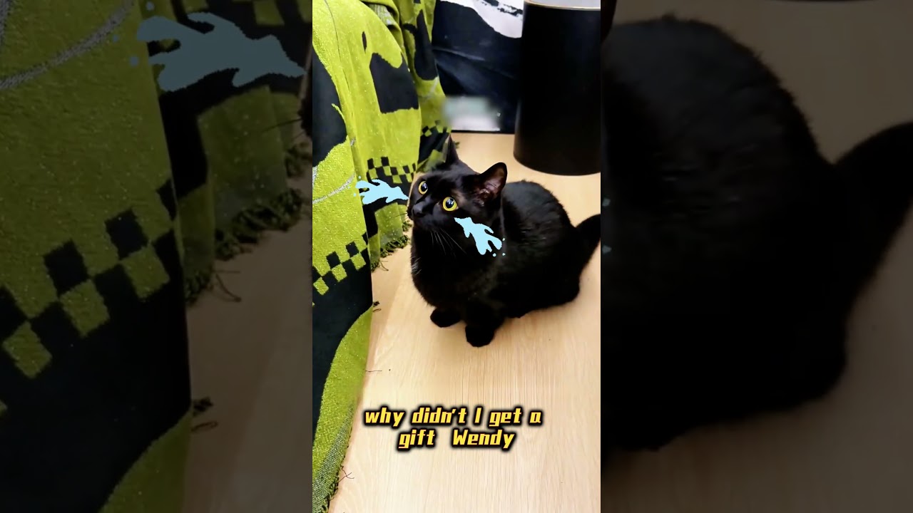 Just because I'm a void kitty, doesn't mean I don't deserve love? 🖤🥺 #cat #adoreble
