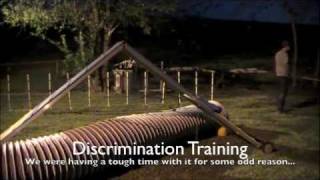 Beamer AF Training - March and April