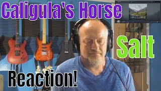 Caligula&#39;s Horse -  Salt  (Reaction)