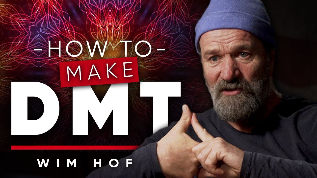 Releasing Dmt How To Release Psychedelic Substance In Your Brain Wim Hof On London Real Youtube