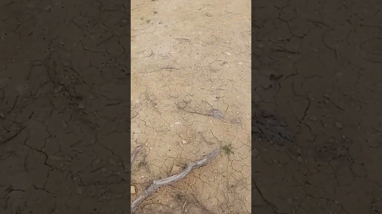 28 فبراير 2026