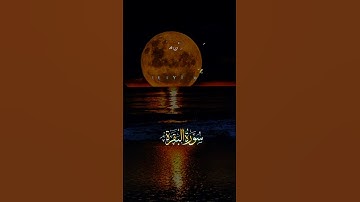 اللهم لك الحمد والشكر لله حمدا كثيرا 🕋🫶❤️ #استغفرالله #shortvideo #اكسبلور #اذكار #لايك #راحة_نفسية