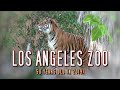 Los Angeles Zoo - 50 Years Old in 2019!