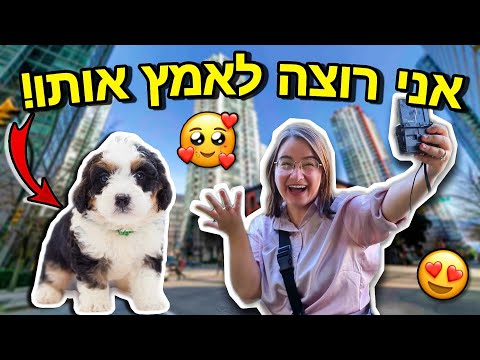 מצאנו את כלב חלומותינו לאימוץ!!! | גאורגיה יום 5