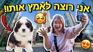 מצאנו את כלב חלומותינו לאימוץ!!! | גאורגיה יום 5