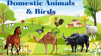 Learn Domestic Animals & Birds Names | Animals & Birds for Kids in English and Hindi