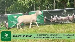 UK0305166 40345