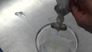 thin puree moineau extruder test