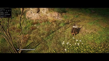 Camera paths playback relative to player location