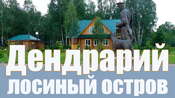 Дендрарий. 