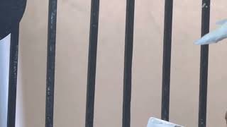 Petsmart Commercial- By Capemayaviation